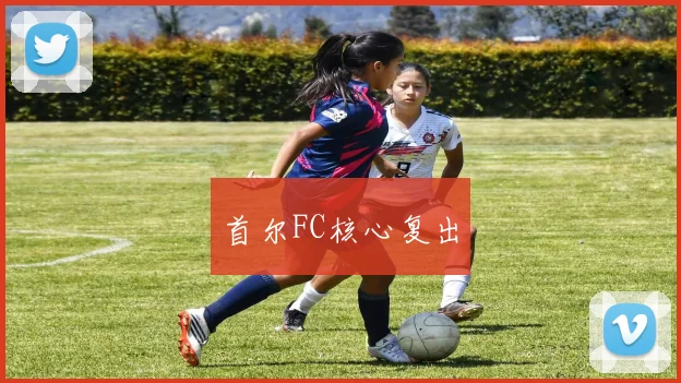 首尔FC核心复出