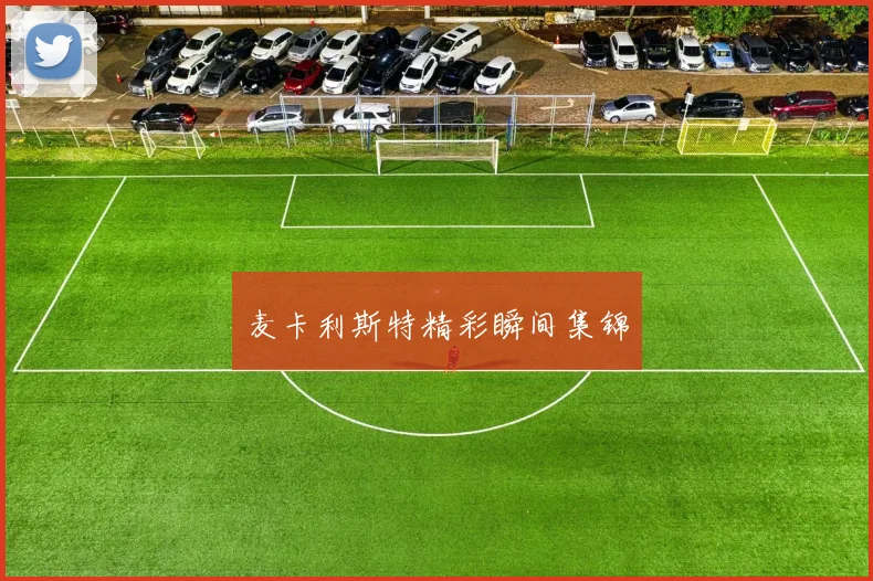 麦卡利斯特精彩瞬间集锦