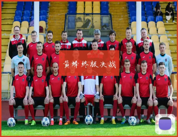黄蜂终极决战