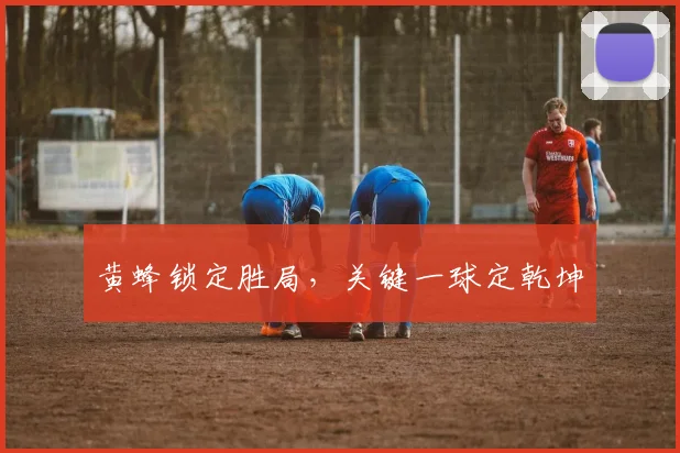 黄蜂锁定胜局，关键一球定乾坤