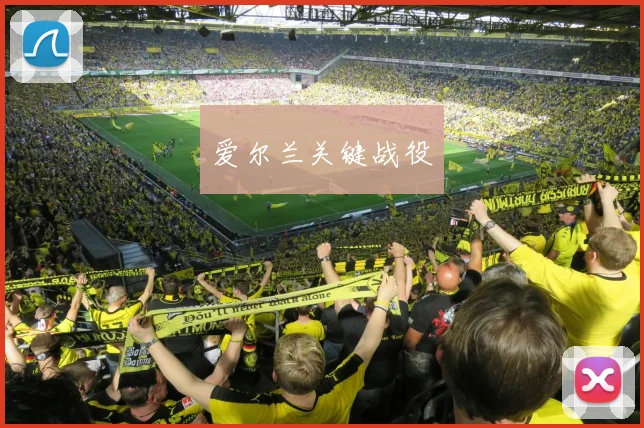 爱尔兰关键战役