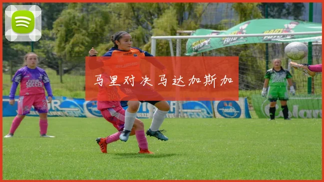 马里对决马达加斯加