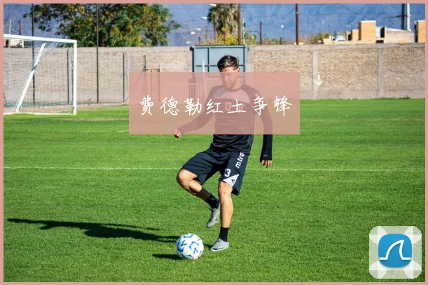 费德勒红土争锋