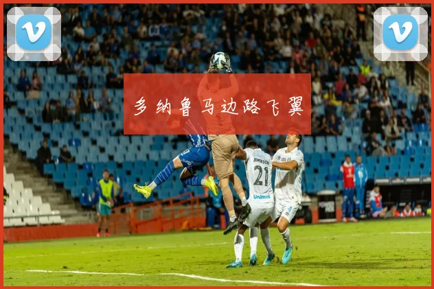多纳鲁马边路飞翼