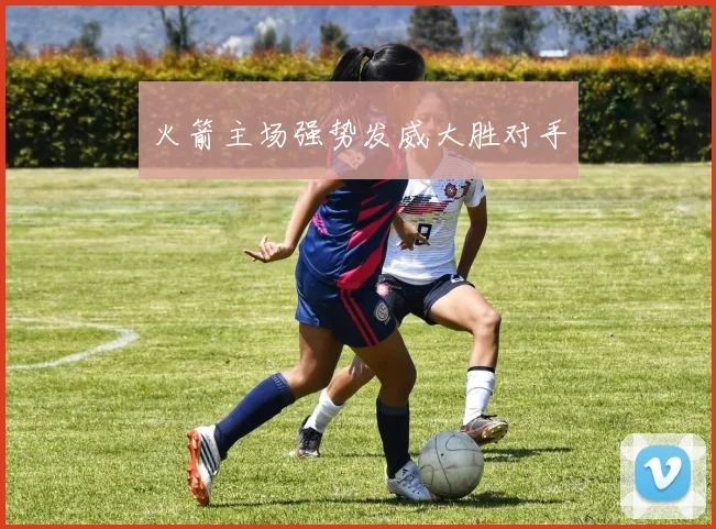 火箭主场强势发威大胜对手