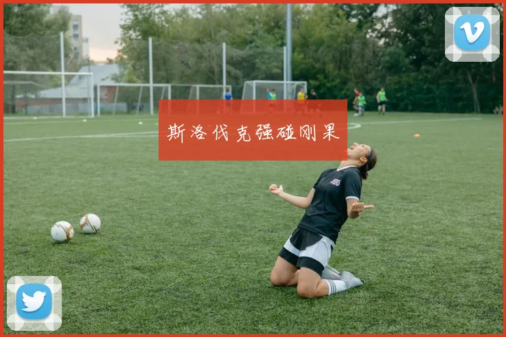 斯洛伐克强碰刚果
