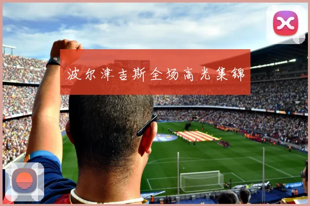 波尔津吉斯全场高光集锦
