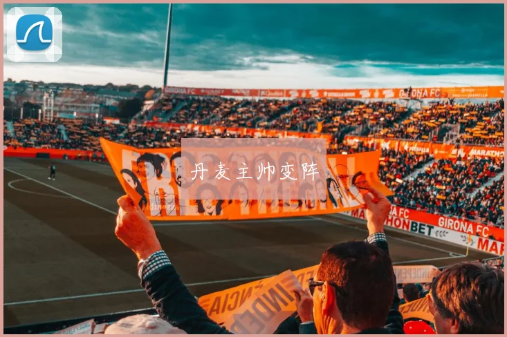 丹麦主帅变阵