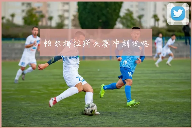 帕尔梅拉斯决赛冲刺攻略