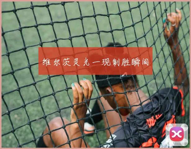 维尔茨灵光一现制胜瞬间
