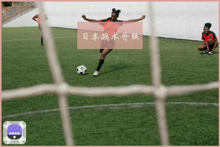 日本战术升级