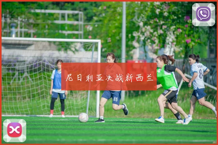 尼日利亚决战新西兰