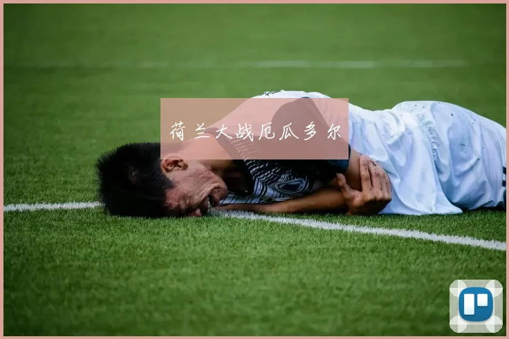 荷兰大战厄瓜多尔