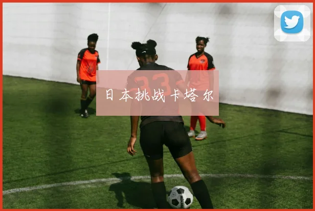 日本挑战卡塔尔