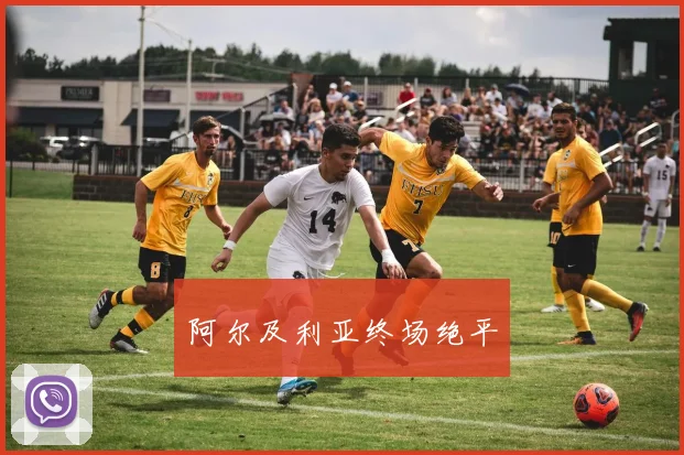 阿尔及利亚终场绝平