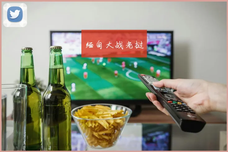 缅甸大战老挝