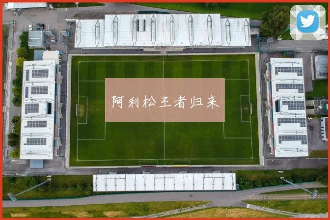 阿利松王者归来