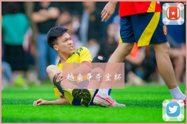 越南争夺金杯