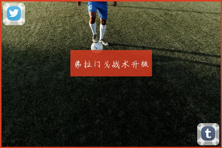 弗拉门戈战术升级