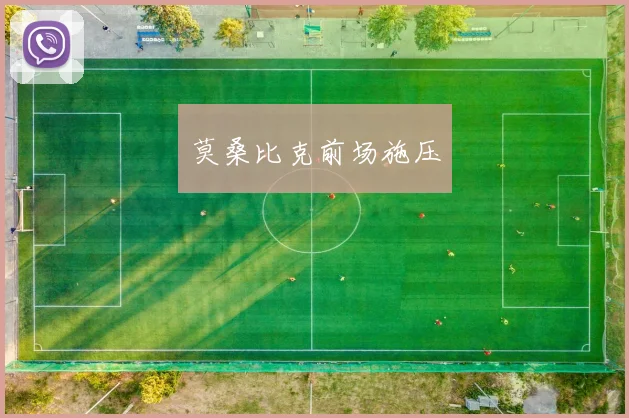 莫桑比克前场施压