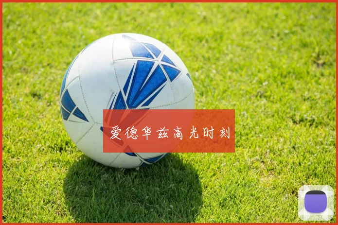 爱德华兹高光时刻