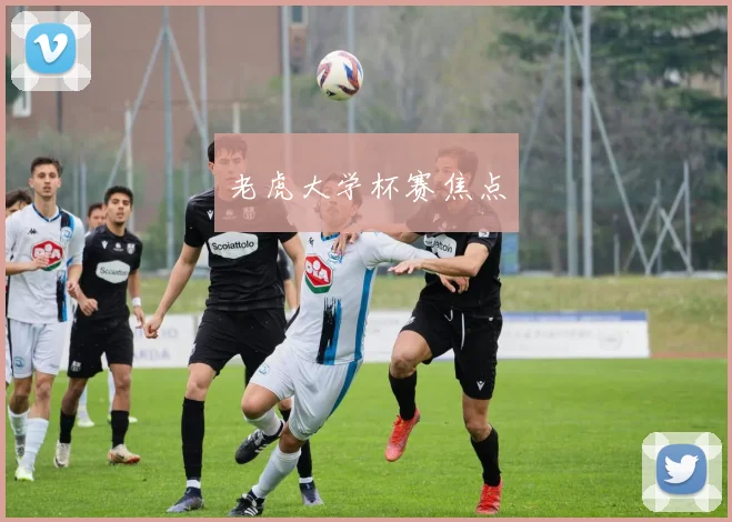 老虎大学杯赛焦点