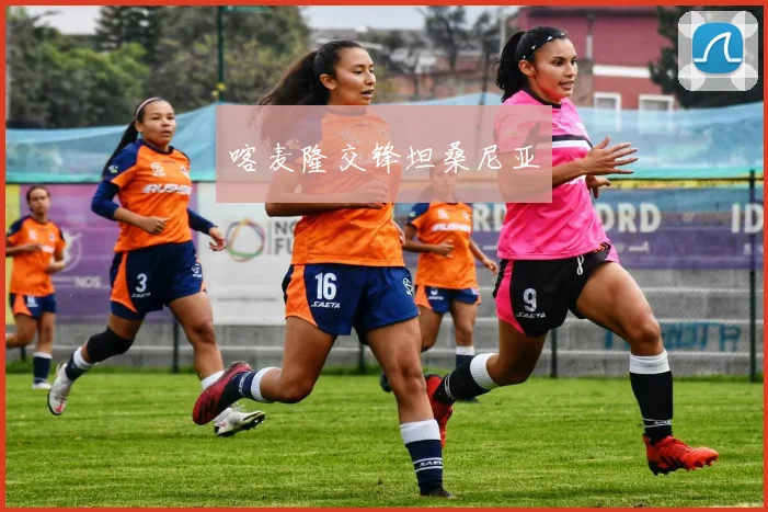 喀麦隆交锋坦桑尼亚