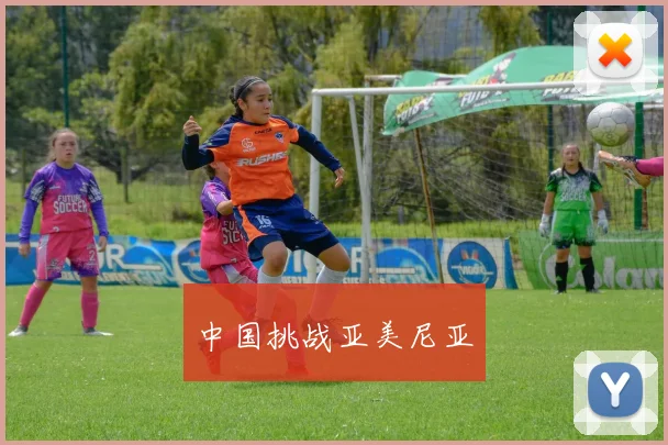 中国挑战亚美尼亚