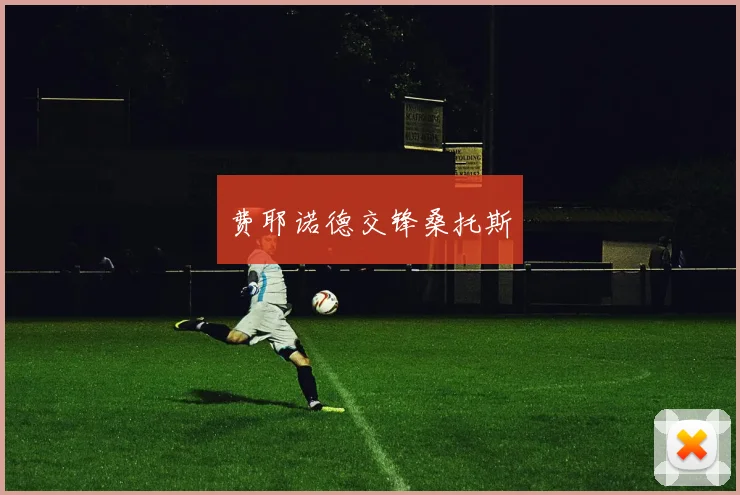费耶诺德交锋桑托斯