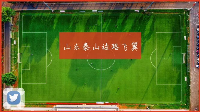 山东泰山边路飞翼