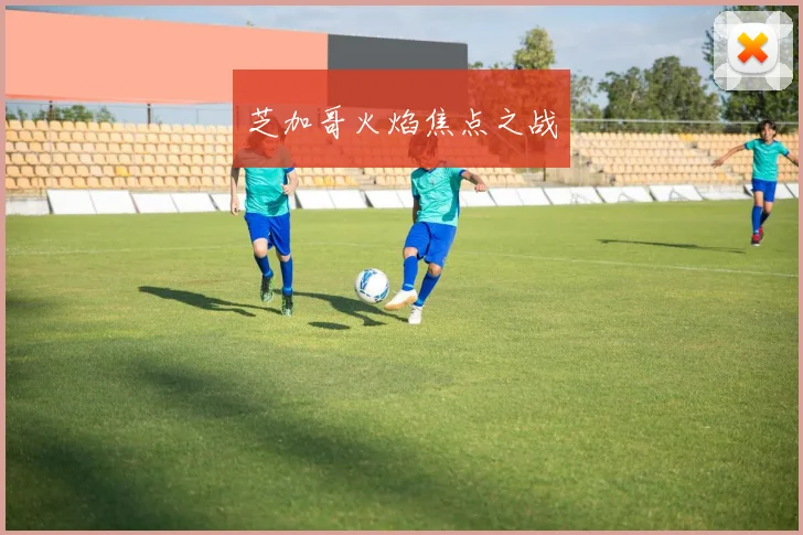 芝加哥火焰焦点之战
