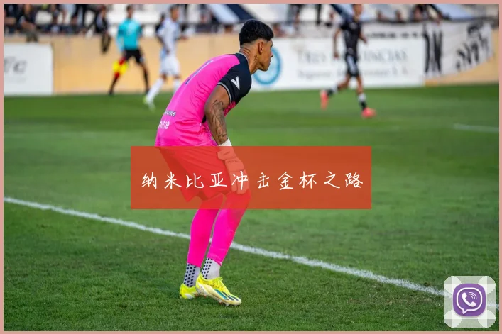 纳米比亚冲击金杯之路