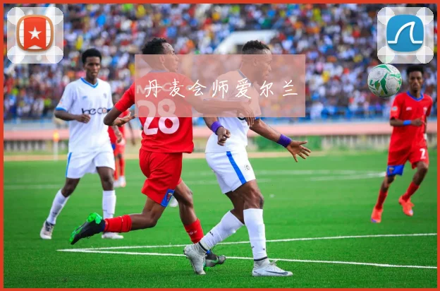 丹麦会师爱尔兰