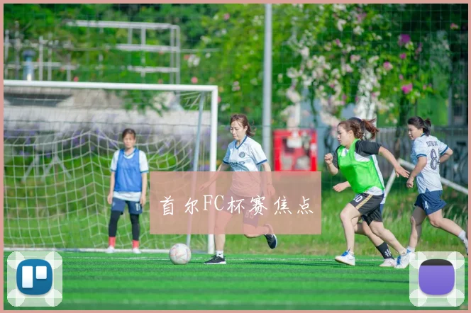 首尔FC杯赛焦点