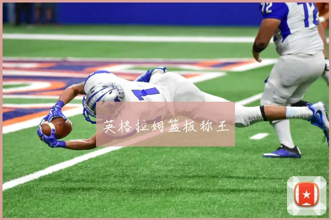 英格拉姆篮板称王