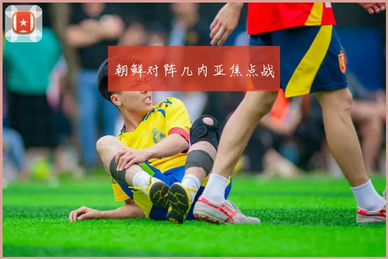 朝鲜对阵几内亚焦点战