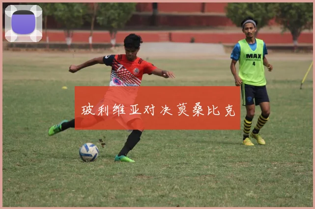 玻利维亚对决莫桑比克