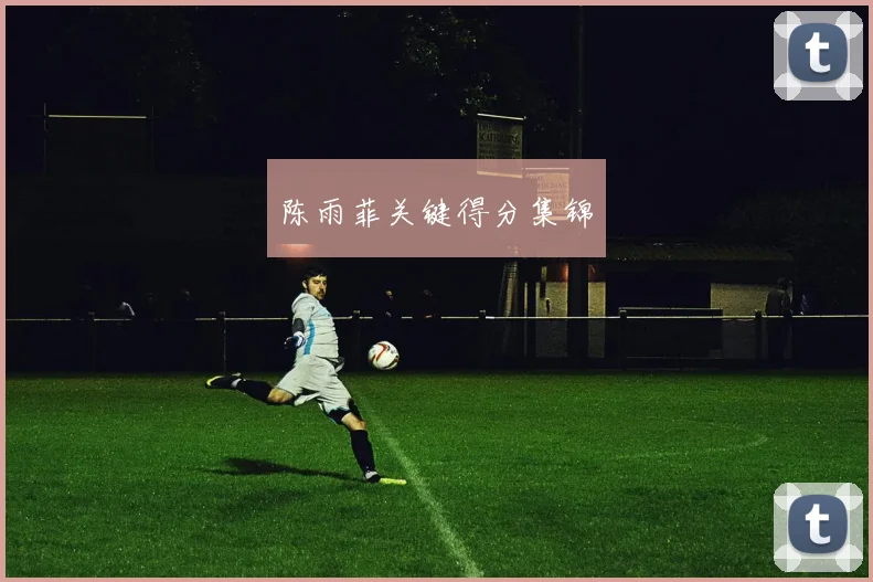 陈雨菲关键得分集锦