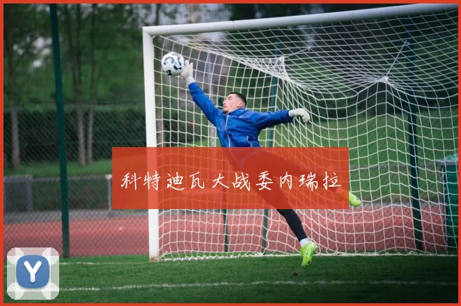 科特迪瓦大战委内瑞拉