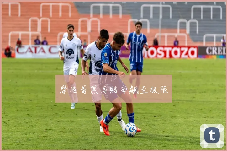 摩洛哥黑马赔率飙至极限