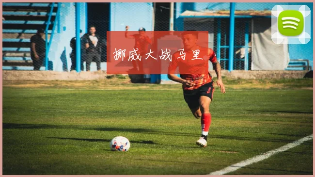 挪威大战马里