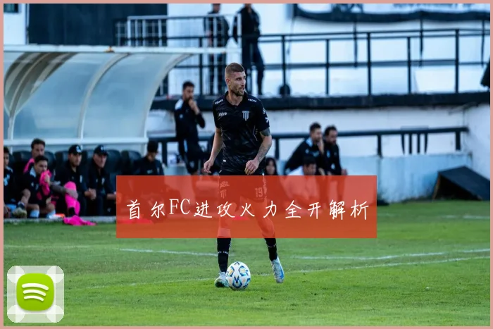 首尔FC进攻火力全开解析