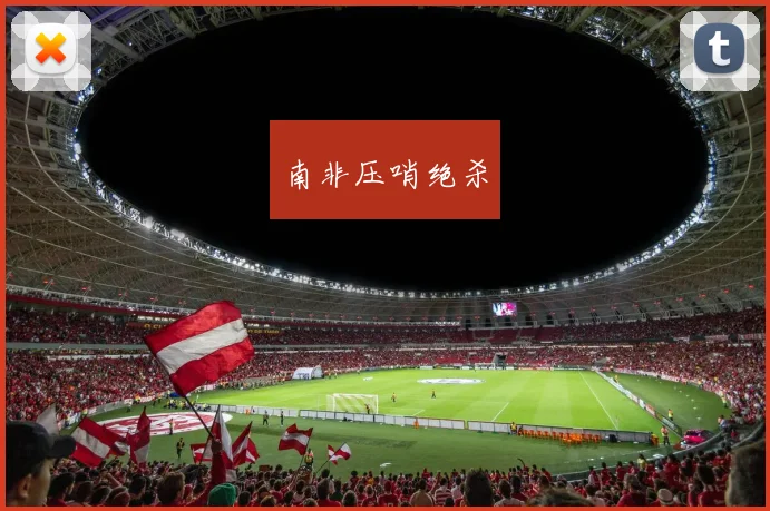 南非压哨绝杀