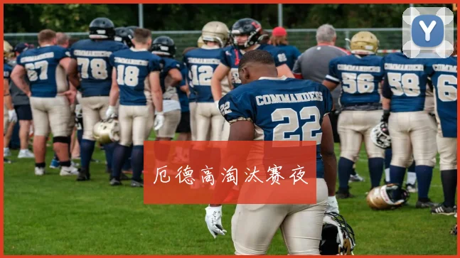 厄德高淘汰赛夜