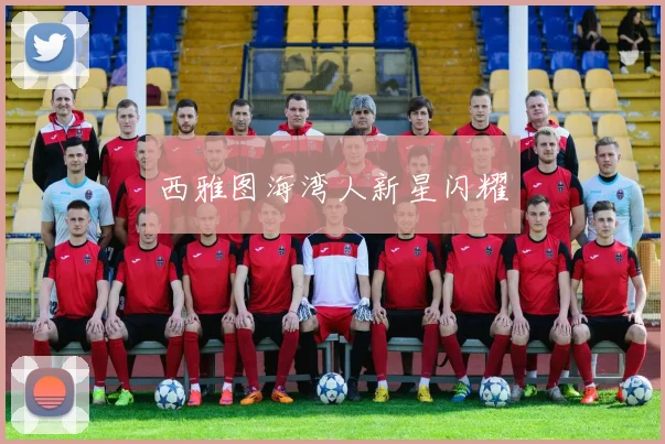 西雅图海湾人新星闪耀