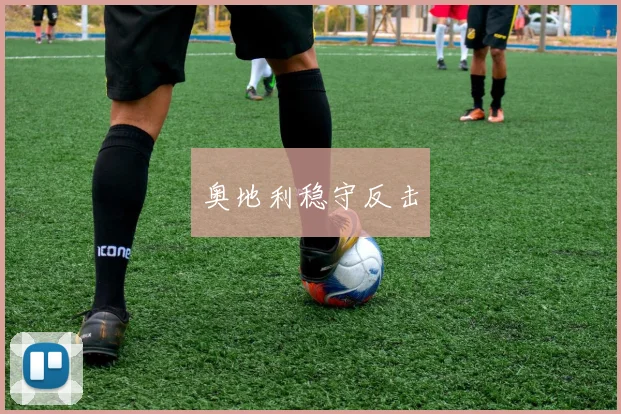 奥地利稳守反击