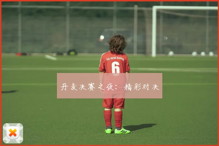 丹麦决赛之夜：精彩对决