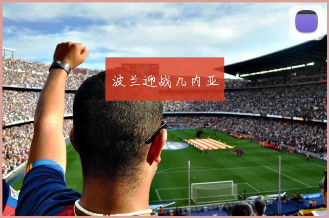 波兰迎战几内亚