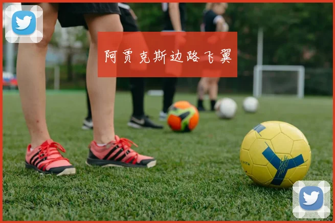 阿贾克斯边路飞翼