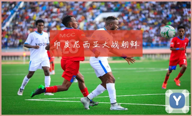 印度尼西亚大战朝鲜